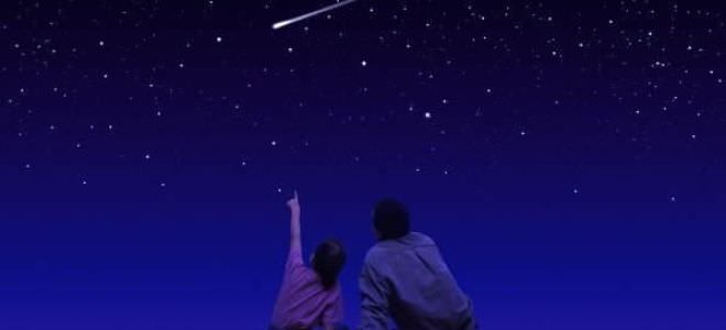 Обзор любовной совместимости между драконом и собакой