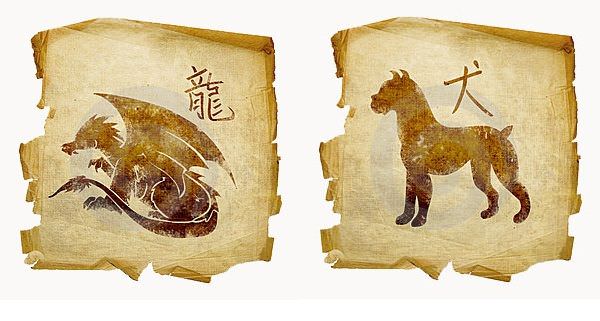 Обзор любовной совместимости между драконом и собакой