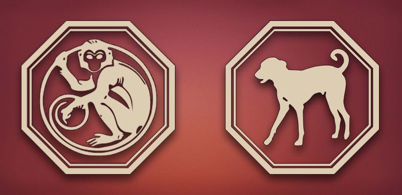 Обзор любовной совместимости между собакой и обезьяной