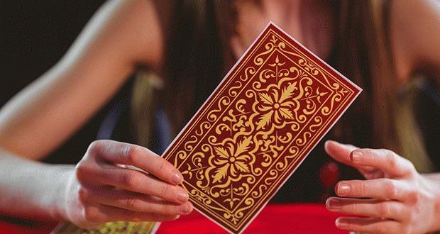 Обзор любовной совместимости между собакой и обезьяной