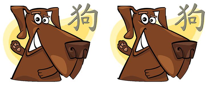 Обзор любовной совместимости в паре лошади и собаки: плюсы и минусы, прогнозы долгосрочного развития