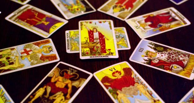 Обзор любовной совместимости в паре лошади и собаки: плюсы и минусы, прогнозы долгосрочного развития