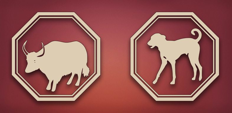 Обзор любовной совместимости в паре лошади и собаки: плюсы и минусы, прогнозы долгосрочного развития