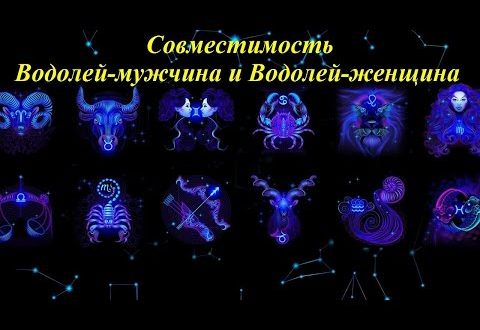 Обзор совместимости между двумя собаками в паре