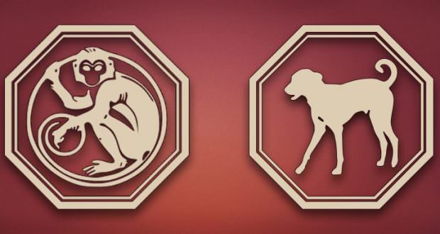 Обзор совместимости между собакой и лошадью: причины конфликтов