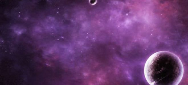 Обзор совместимости между собакой и лошадью: причины конфликтов