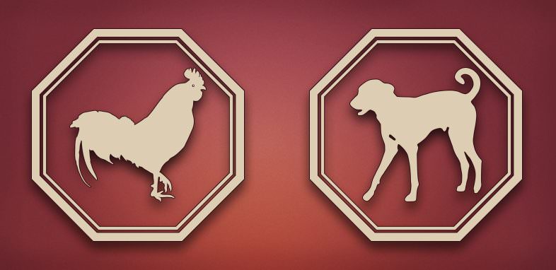 Обзор совместимости в отношениях собаки и петуха