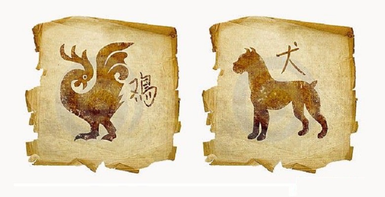 Обзор совместимости в отношениях собаки и петуха