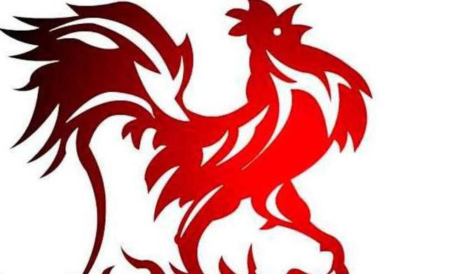 Обзор совместимости в отношениях собаки и петуха