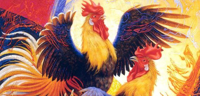 Обзор совместимости в отношениях собаки и петуха