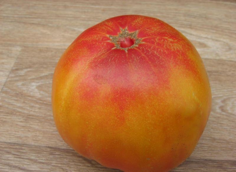 Описание и отзывы о томате загадка природы с фото