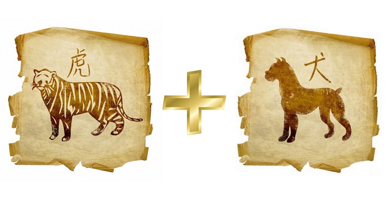 Описание любовной совместимости между собакой и тигром