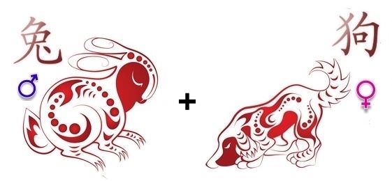 Описание совместимости в паре между собакой и кроликом