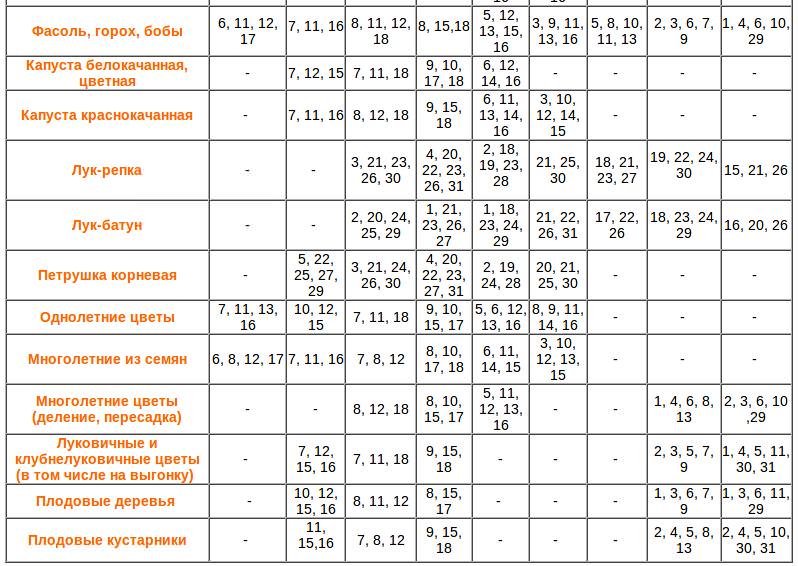 Оптимальные посадочные дни в марте 2018 для томатов