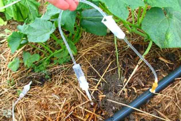 Особенности изготовления капельницы для капельного полива своими руками