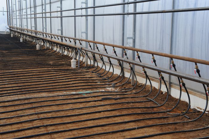 Особенности обогрева теплицы больших размеров зимой водяным отоплением