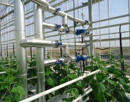 Особенности обогрева теплицы больших размеров зимой водяным отоплением