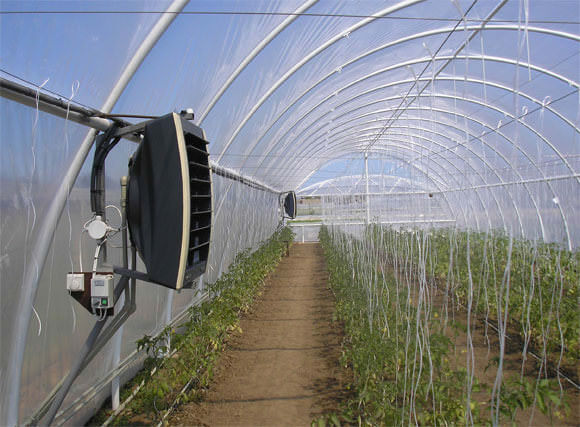 Особенности обогрева теплицы больших размеров зимой водяным отоплением