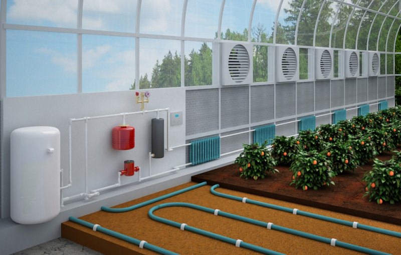 Особенности обогрева теплицы больших размеров зимой водяным отоплением