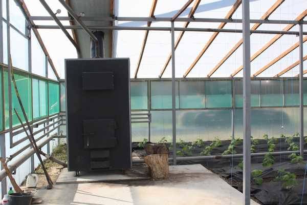 Особенности обогрева теплицы больших размеров зимой водяным отоплением