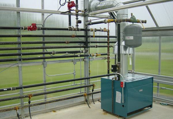 Особенности отопления теплиц газом