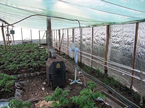Особенности отопления теплиц газом
