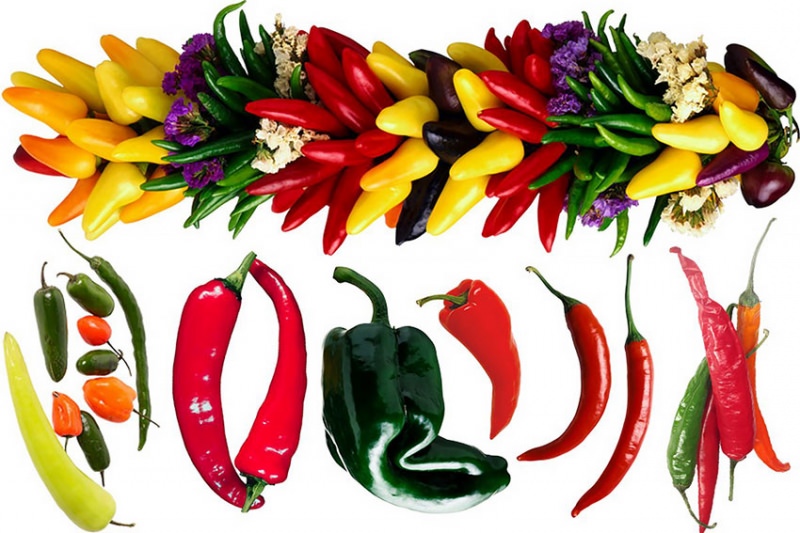 Особенности выращивания горького перца