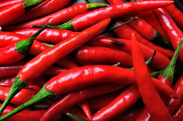 Особенности выращивания горького перца