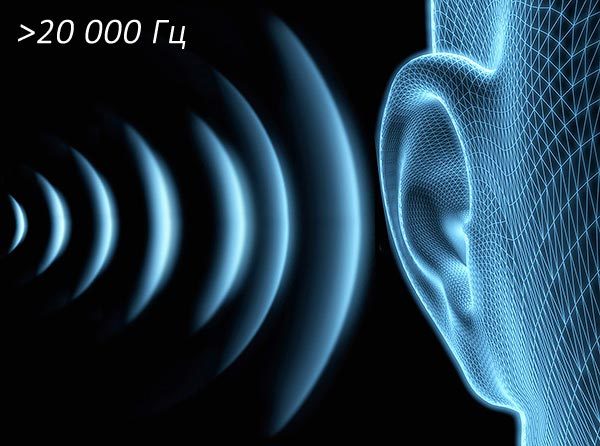 Отпугиватель мышей (грызунов): ультразвуковой, Чистон 2, электронный, прибор для отпугивания, электромагнитный, экоснайпер, вред