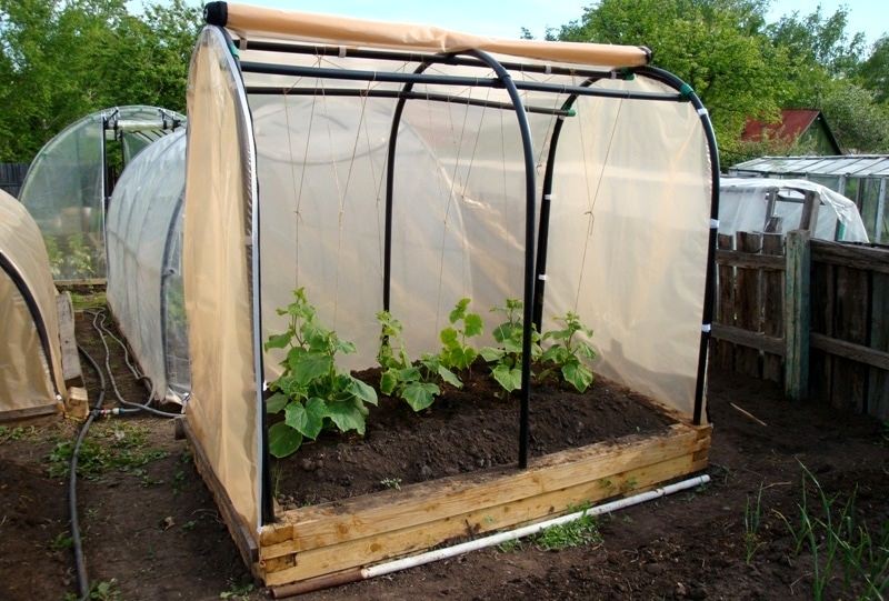 Парник для огурцов: виды и характеристика конструкций