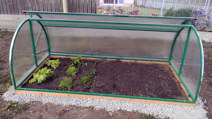 Парник ракушка: характеристика конструкции и особенности изготовления своими руками