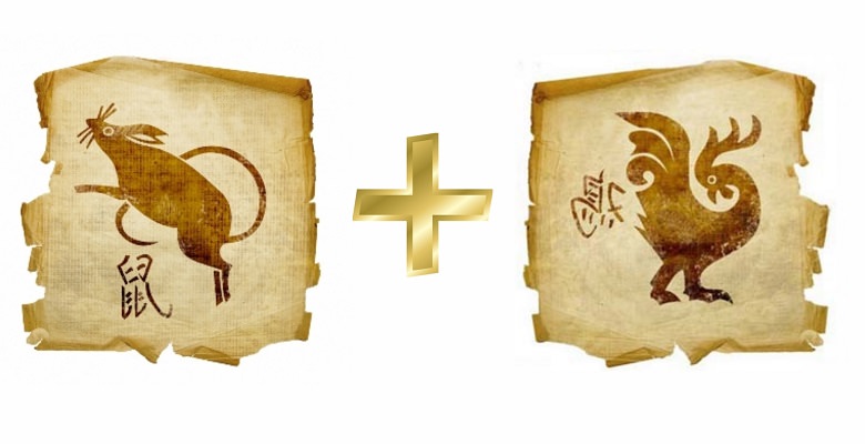 Петух и Крыса: совместимость женщины и мужчины в любви и браке