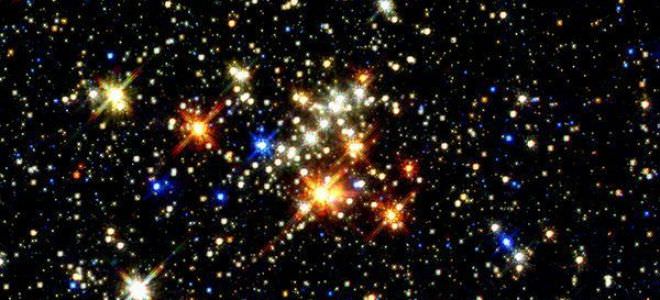 Петух и Крыса: совместимость женщины и мужчины в любви и браке