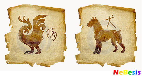 Петух и собака — совместимость мужчины и женщины в любви