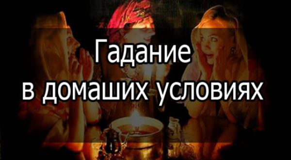 Петух и собака — совместимость мужчины и женщины в любви