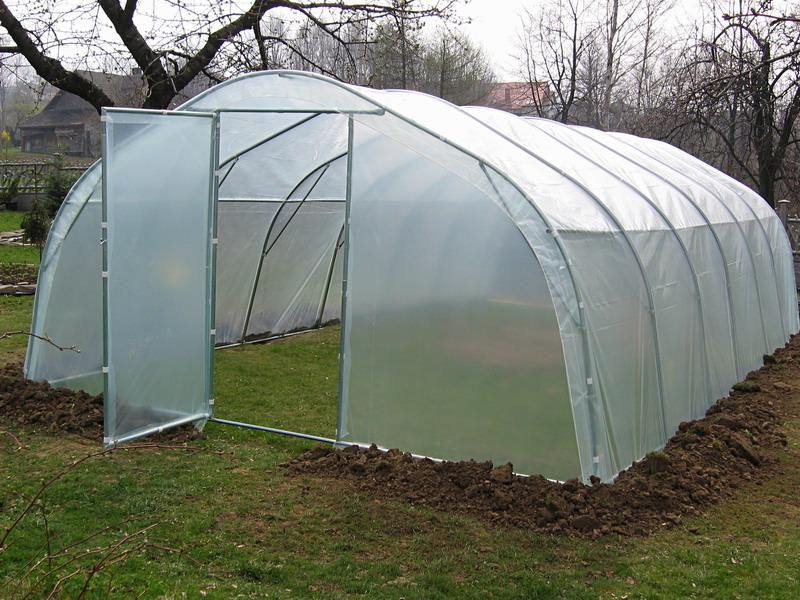 Пленочная теплица светлица: характеристика и достоинства