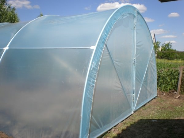 Пленочная теплица светлица: характеристика и достоинства