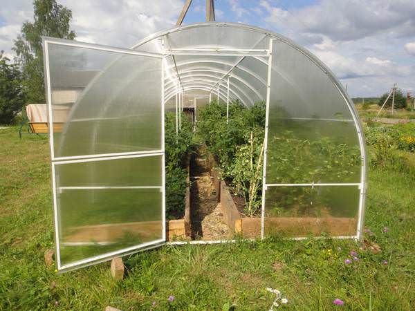 Пленочная теплица светлица: характеристика и достоинства