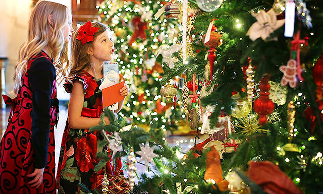 Почему на новый год традиционно ставят ёлку — разбор традиций