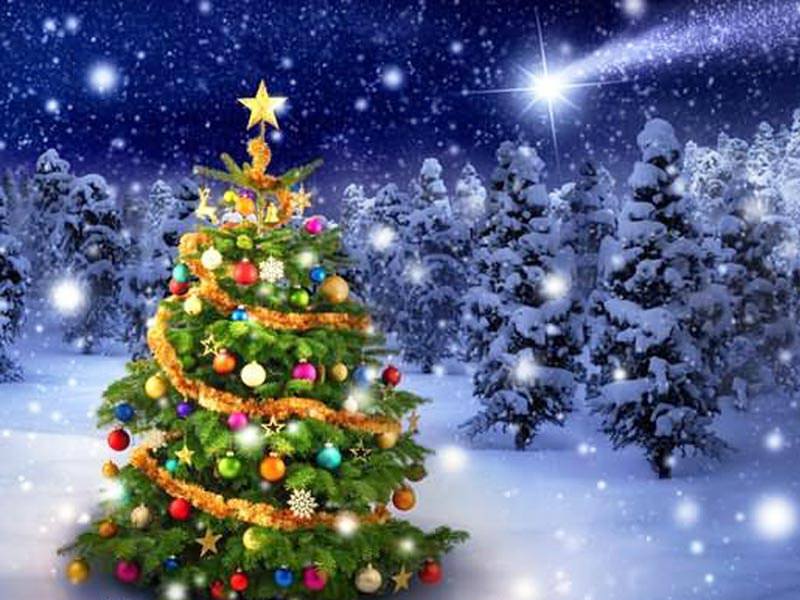 Почему на новый год традиционно ставят ёлку — разбор традиций