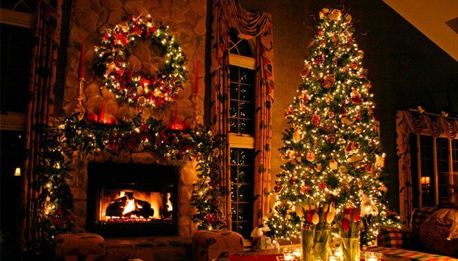 Почему на новый год традиционно ставят ёлку — разбор традиций