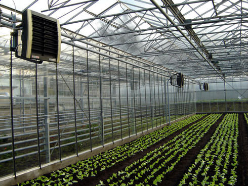 Почему появляется и чем вреден конденсат в теплице из поликарбоната?