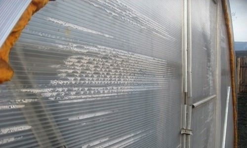 Почему появляется и чем вреден конденсат в теплице из поликарбоната?