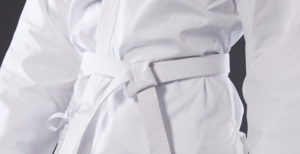 Пояса в карате: каратэ-до, киокушинкай, сколько поясов, даны, цвета, черный, желтый, оранжевый, за что дают, коричневый