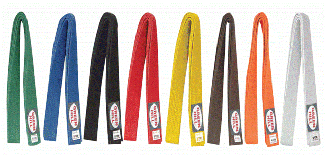 Пояса в карате: каратэ-до, киокушинкай, сколько поясов, даны, цвета, черный, желтый, оранжевый, за что дают, коричневый