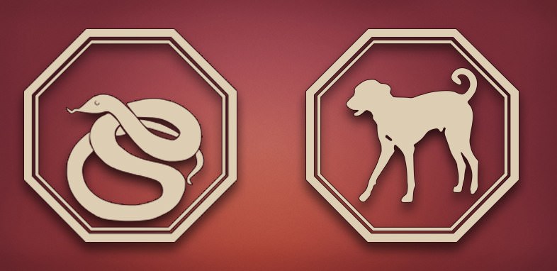 Показатели совместимости в любви змеи и собаки