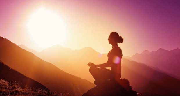 Показатели совместимости в любви змеи и собаки