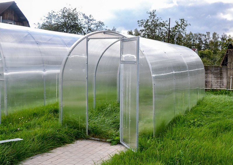 Покупка теплицы от компании агросфера