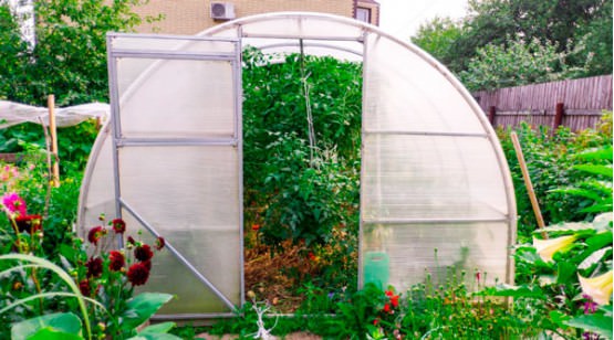 Покупка теплицы от производителя «райский сад»