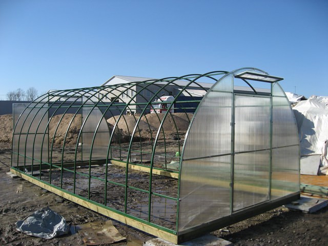 Покупка теплицы от производителя «райский сад»